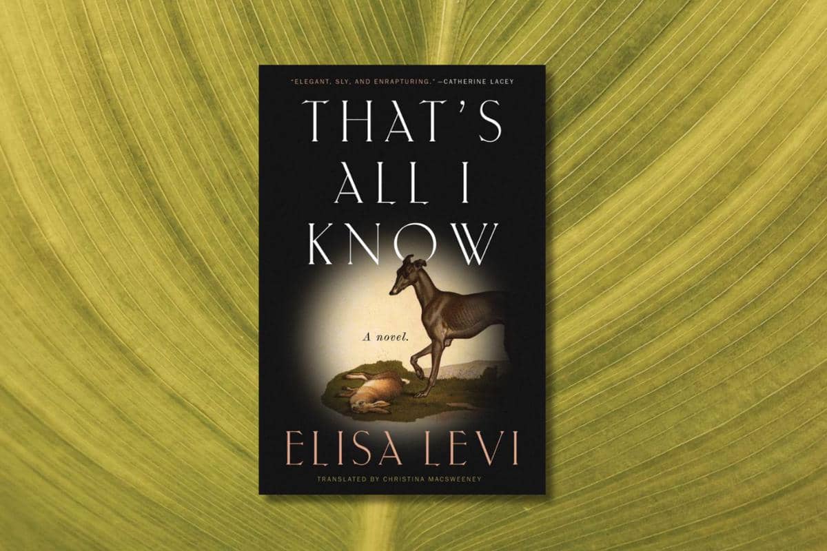 That's All I Know karya Elisa Levi
