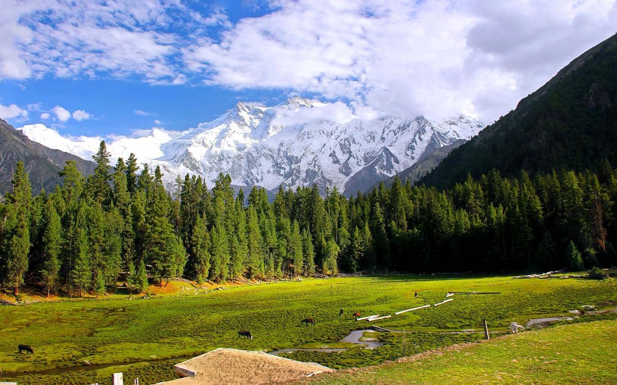 Kenapa Fairy Meadows Masuk Daftar Padang Rumput Terindah?