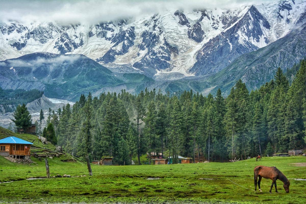 Fairy Meadows