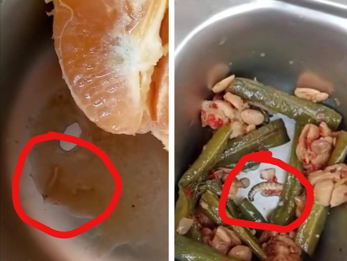 Ada Cacing dan Ulat di MBG Sekolah Musi Rawas, Ini Klarifikasi SPPG
