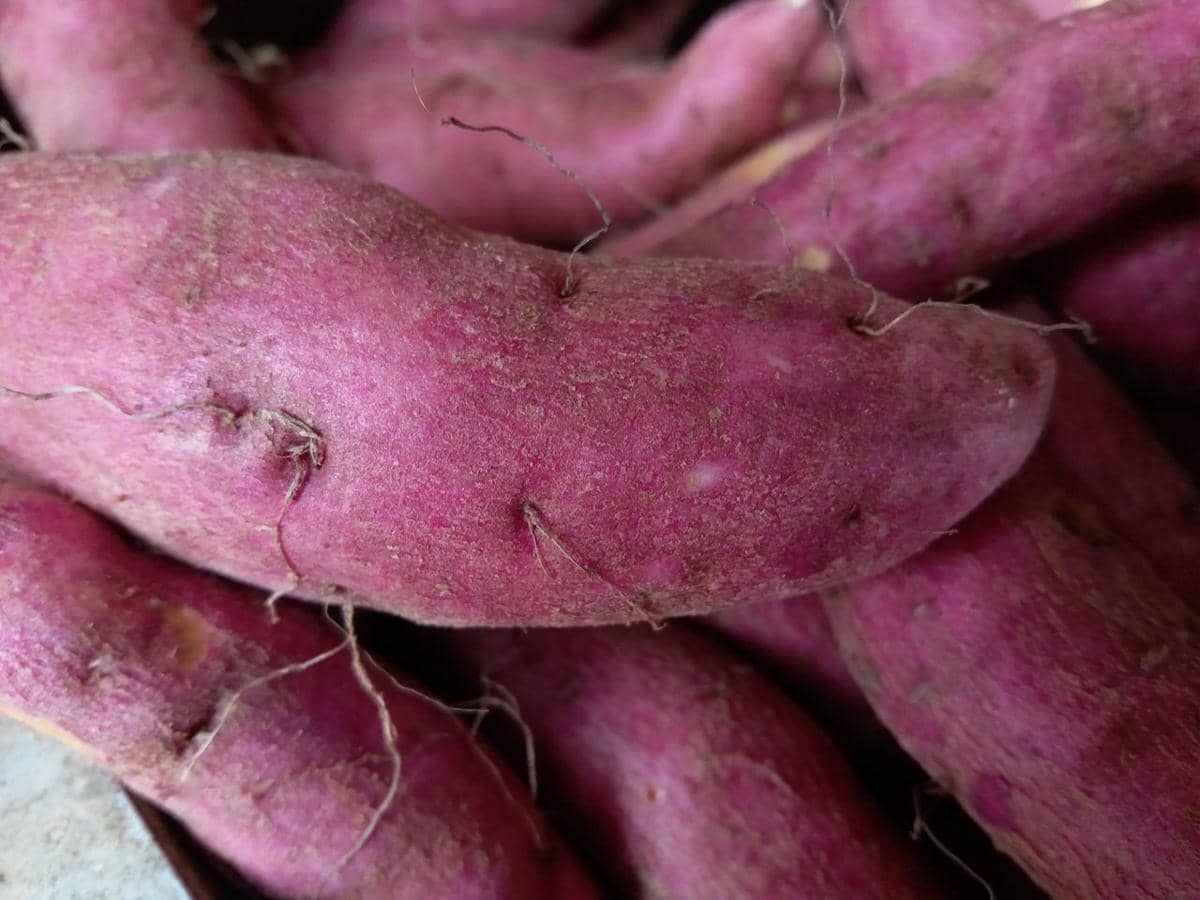 [QUIZ] Dari Umbi-Umbian Favoritmu, Kamu Cocok Masak Ini!