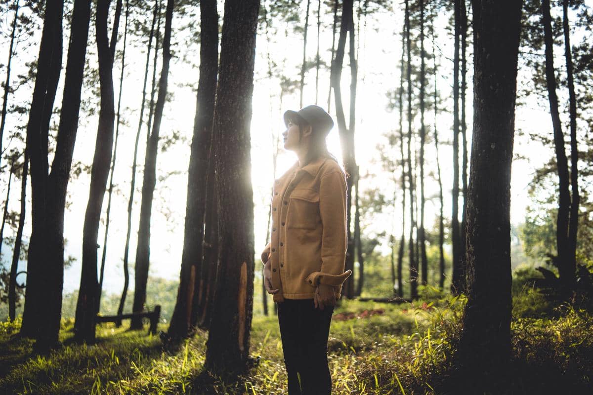 ilustrasi forest bathing
