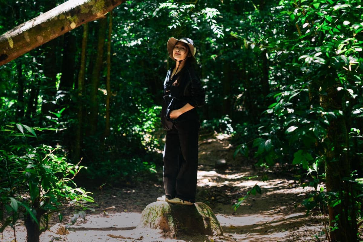 ilustrasi forest bathing