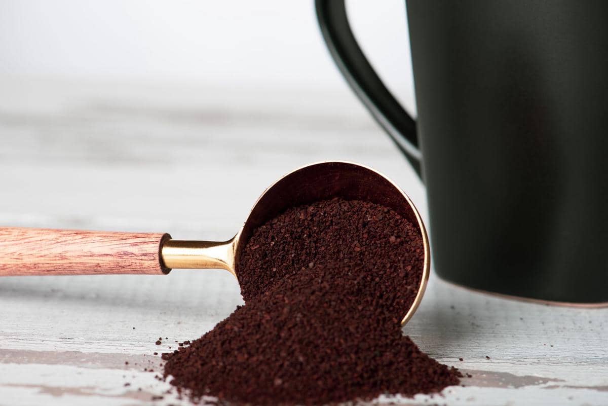 Ampas kopi
