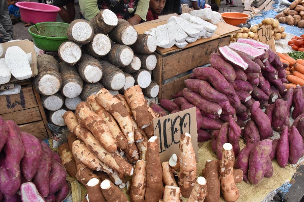 Selain Kimpul, Ini 7 Umbi Lokal Alternatif Pengganti Nasi