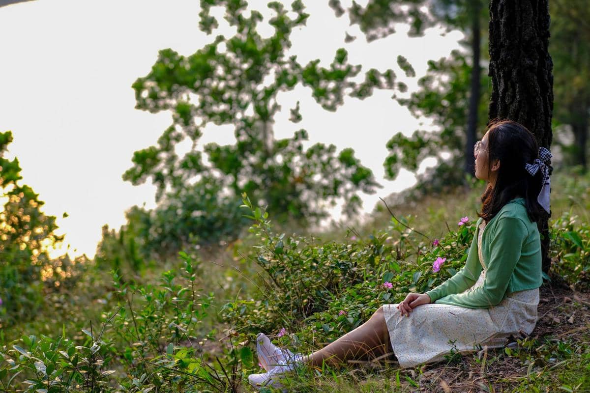 ilustrasi forest bathing