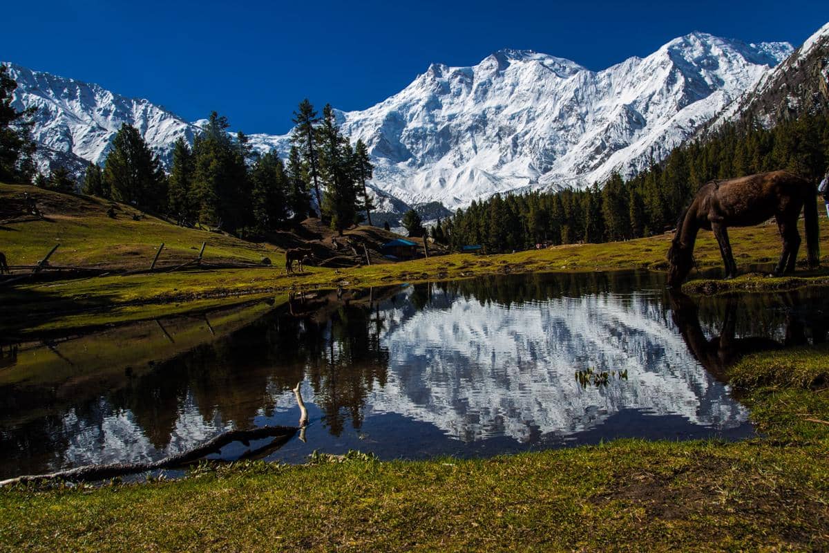 Nanga Parbat
