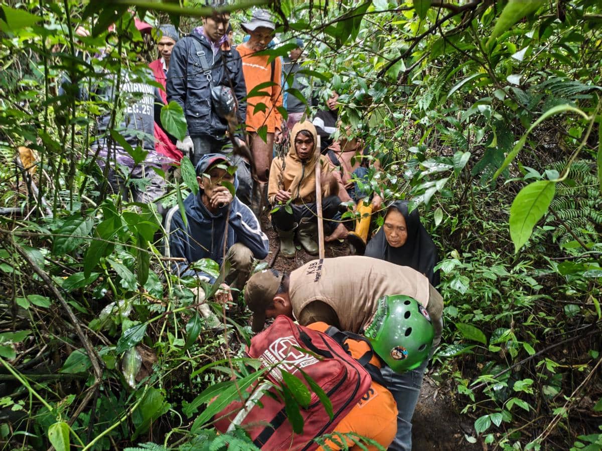 24 Jam Hilang di Hutan, Nenek di Agam Ditemukan Selamat