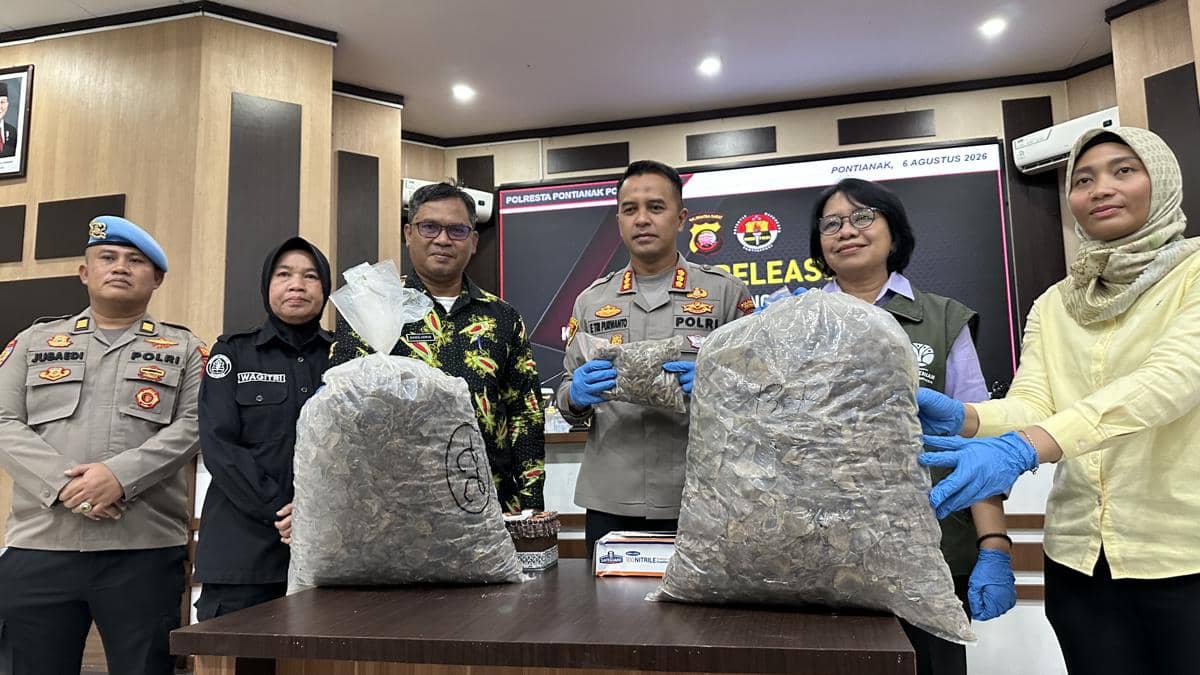 551 Kg Sisik Trenggiling dari Kalbar Disita, Dibeli Rp800 Ribu per Kg