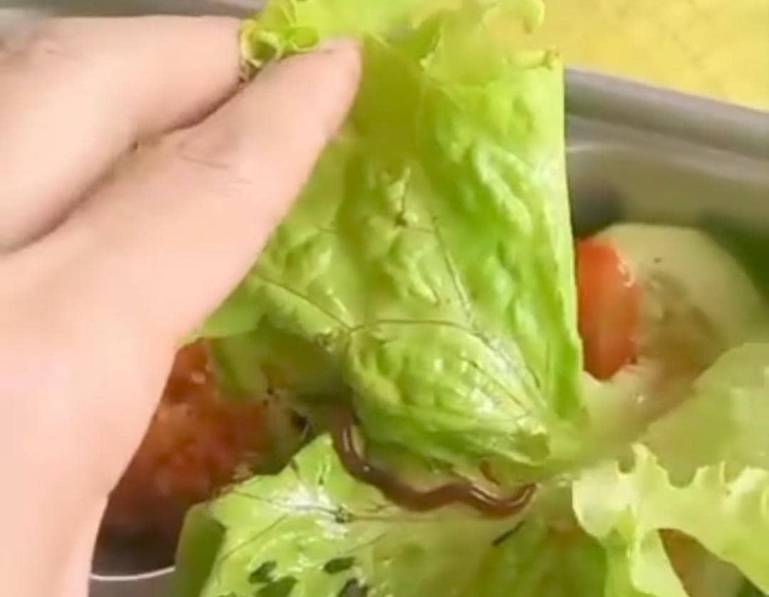 Potongan video penampakan ular dan cacing di menu MBG sekolah di Musi Rawas.
