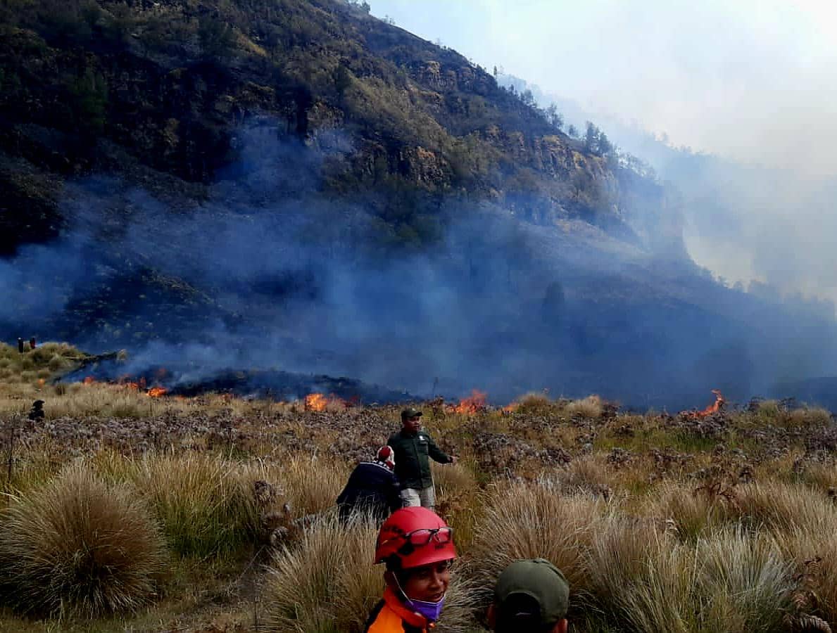Api Bromo Belum Padam, Karhutla Meluas ke Arah Malang
