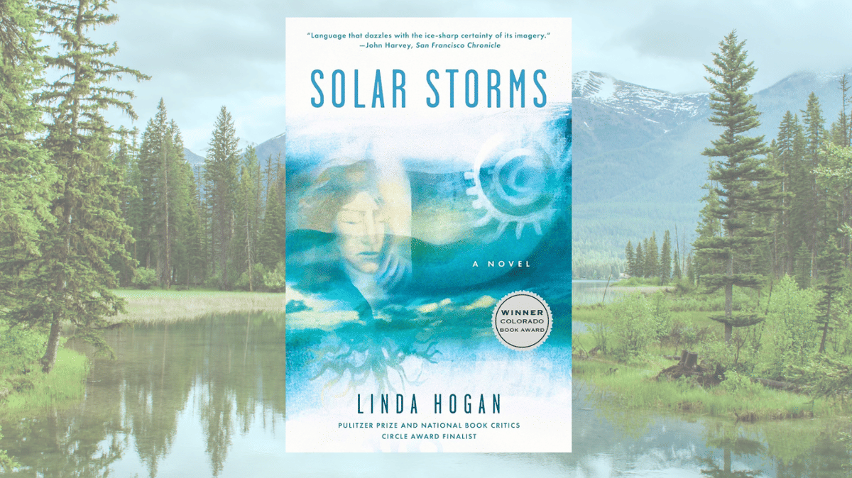 cover novel Solar Storms