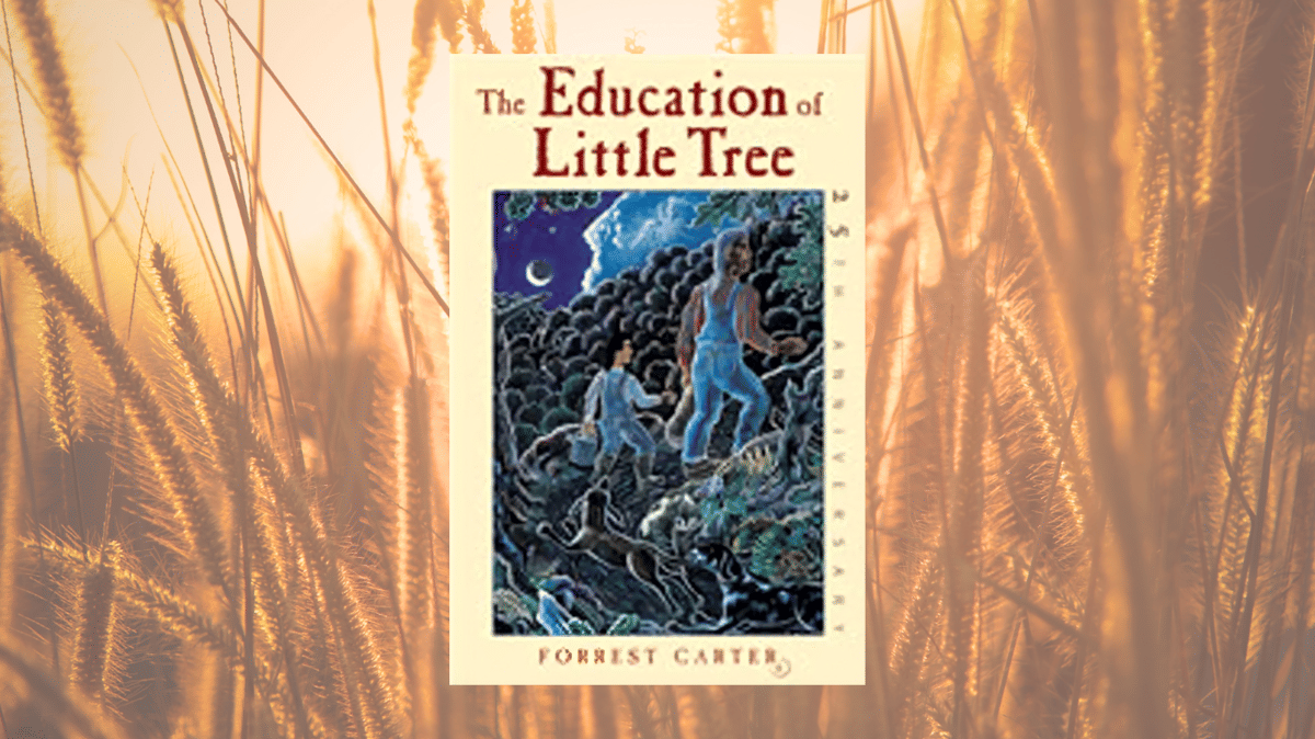 cover novel The Education of Little Tree