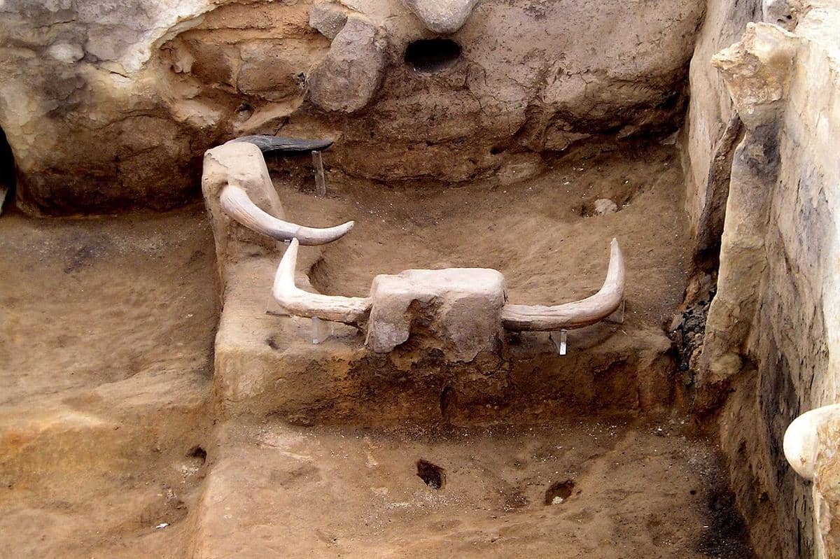 Catalhoyuk, Turki