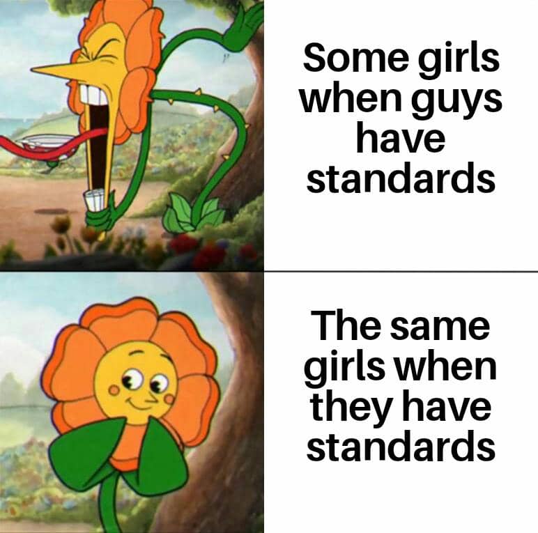 meme kartun tentang standar ganda