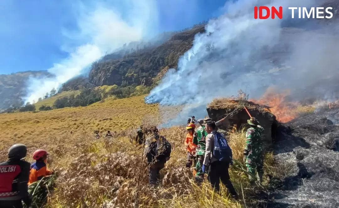 Proses penanganan kebakaran hutan dan lahan dilakukan di kawasan Gunung Bromo, Jawa Timur, saat karhutla terjadi.