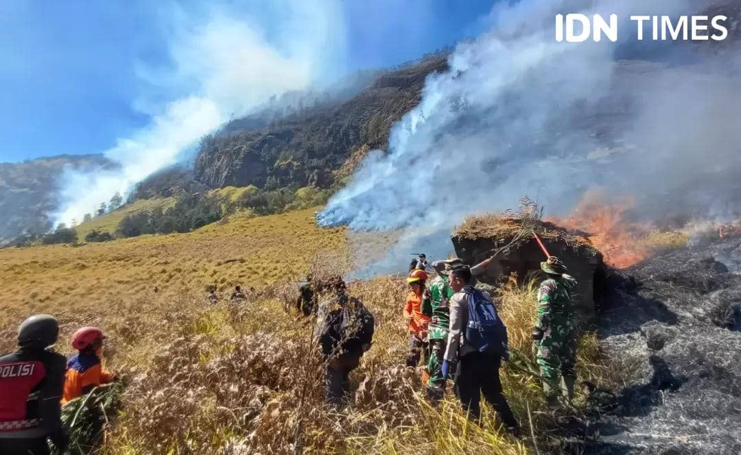 Proses penanganan kebakaran hutan dan lahan dilakukan di kawasan Gunung Bromo, Jawa Timur, saat karhutla terjadi.