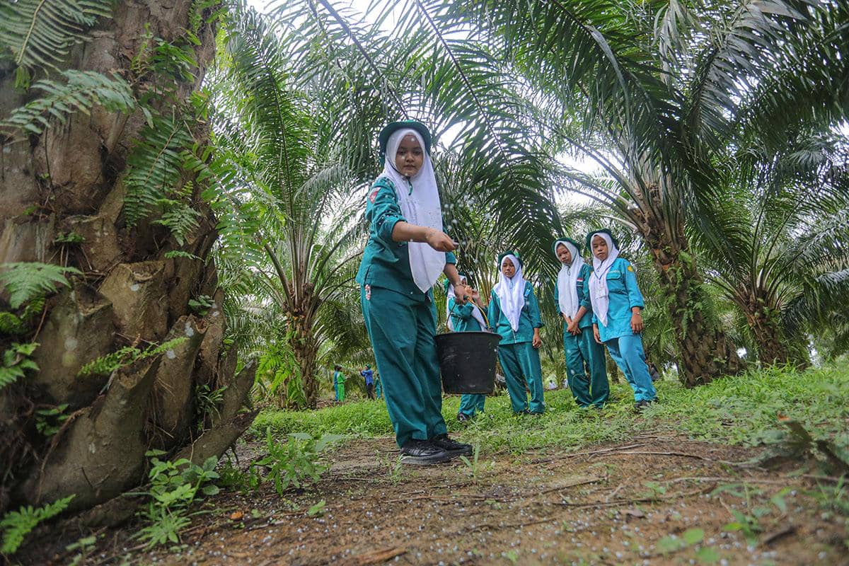 Endari Suci Mengejar Mimpi Lewat Sekolah Sawit Lestari