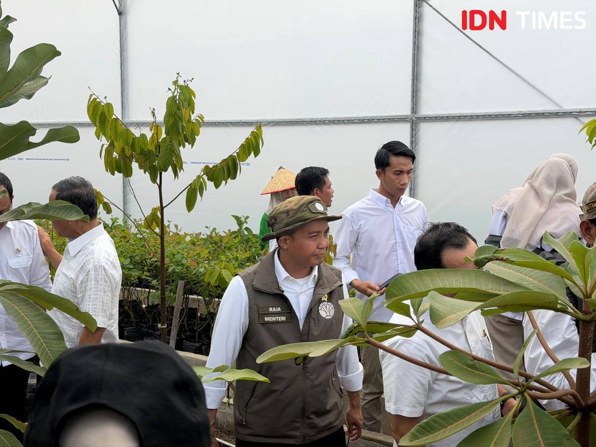 Menhut Raja Juli Minta Perusahaan Jaga Wilayah Dari Karhutla
