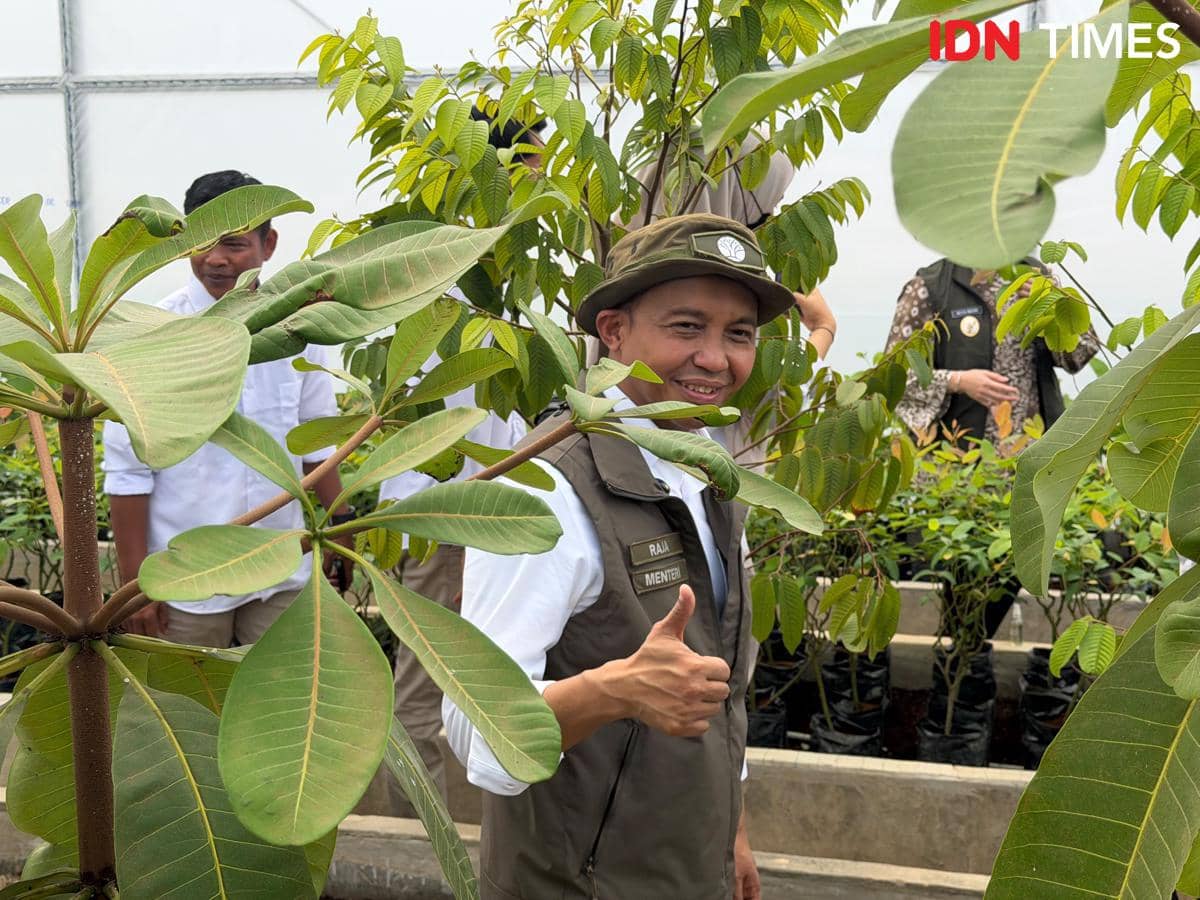 Menteri Kehutanan Raja Juli Antoni saat melakukan kunjungan ke Banyuasin, Sumatera Selatan, pada sebuah kegiatan.