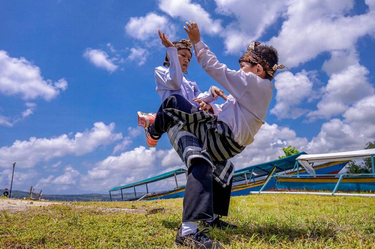 pertandingan bela diri