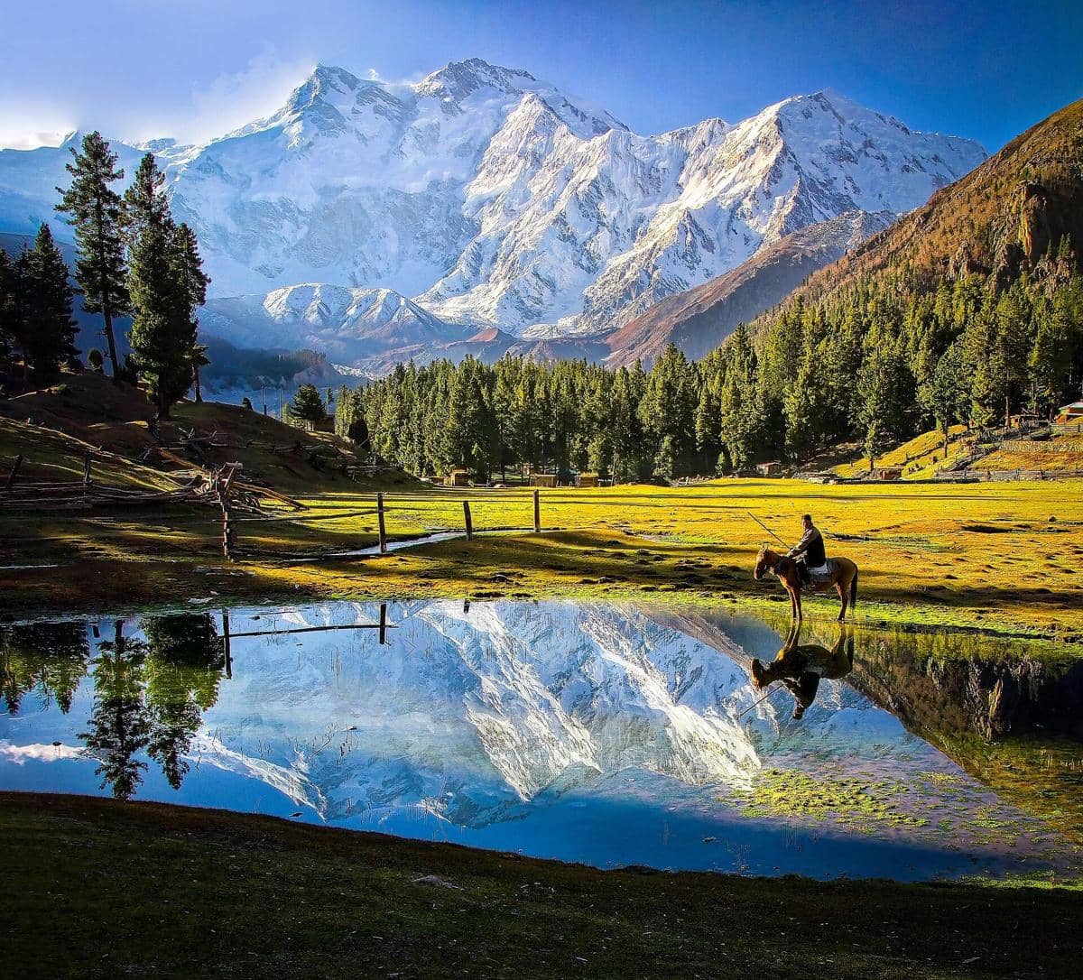 potret Nanga Parbat