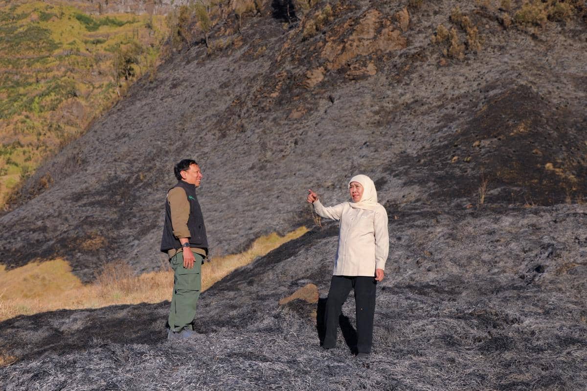 Gubernur Jawa Timur Khofifah Indar Parawansa meninjau langsung lokasi kebakaran di kawasan Gunung Bromo.
