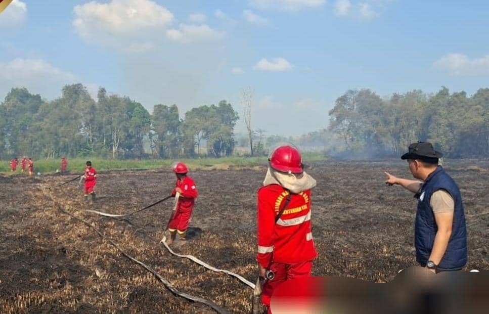 Manggala Agni Tangani 3 Titik Karhutla di Riau Seluas 100 Hektare
