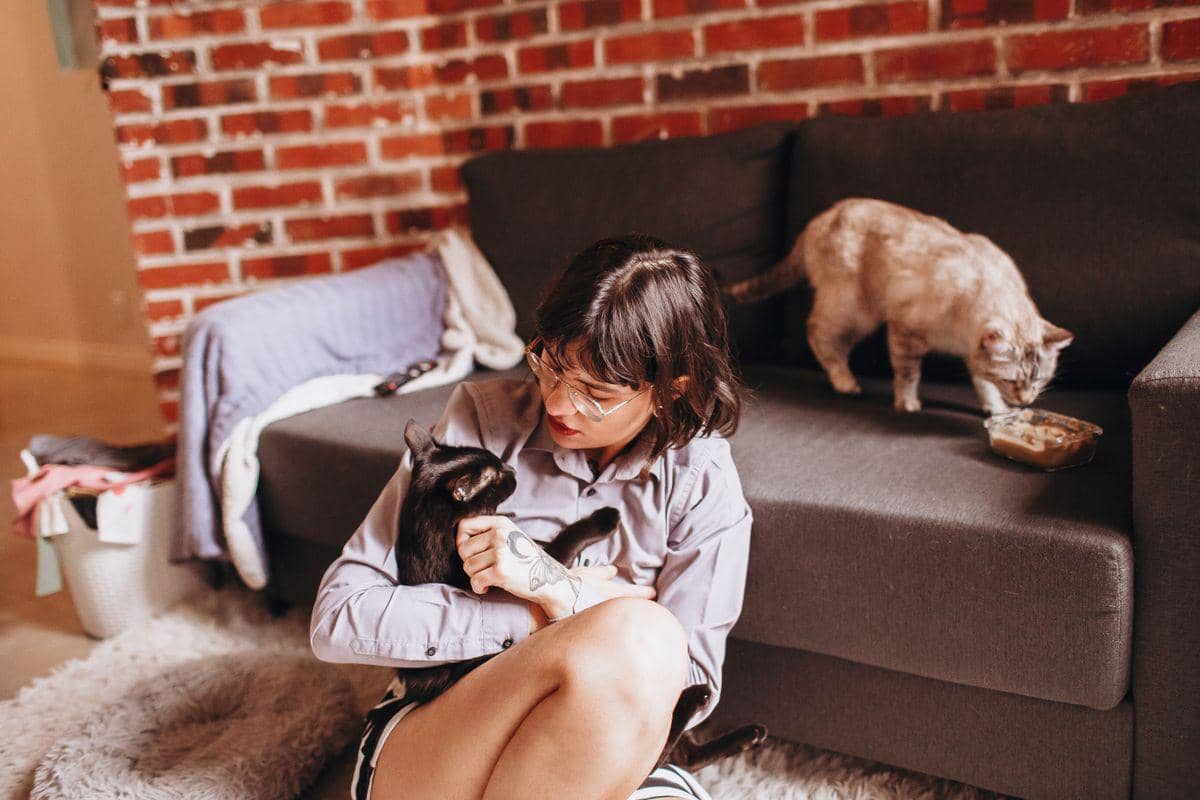 5 Manfaat Memelihara Kucing Mental Health, Bikin Anti Burnout!