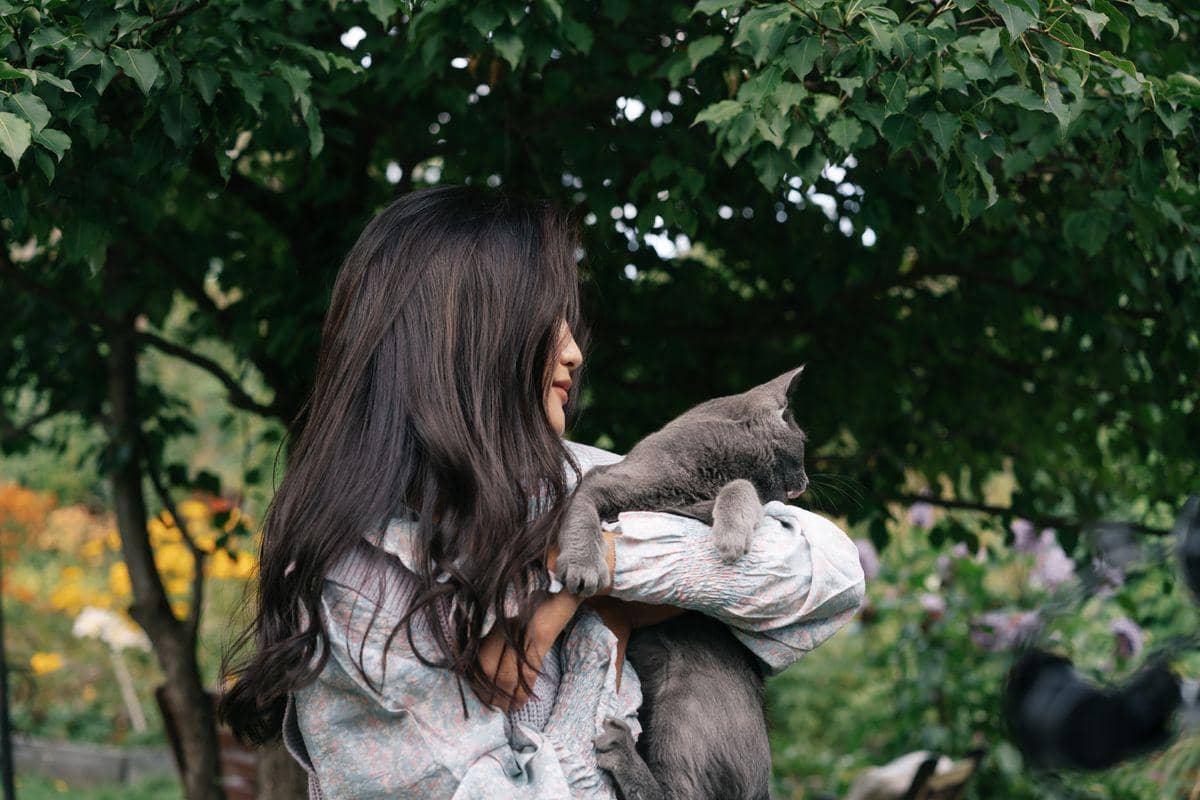 ilustrasi melakukan sentuhan lembut pada kucing membawa hormon kucing
