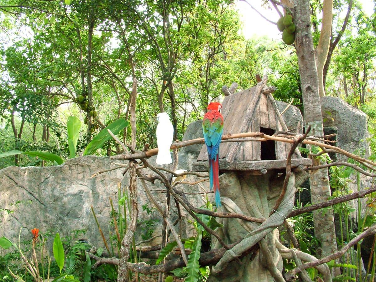 Chiang Mai Zoo