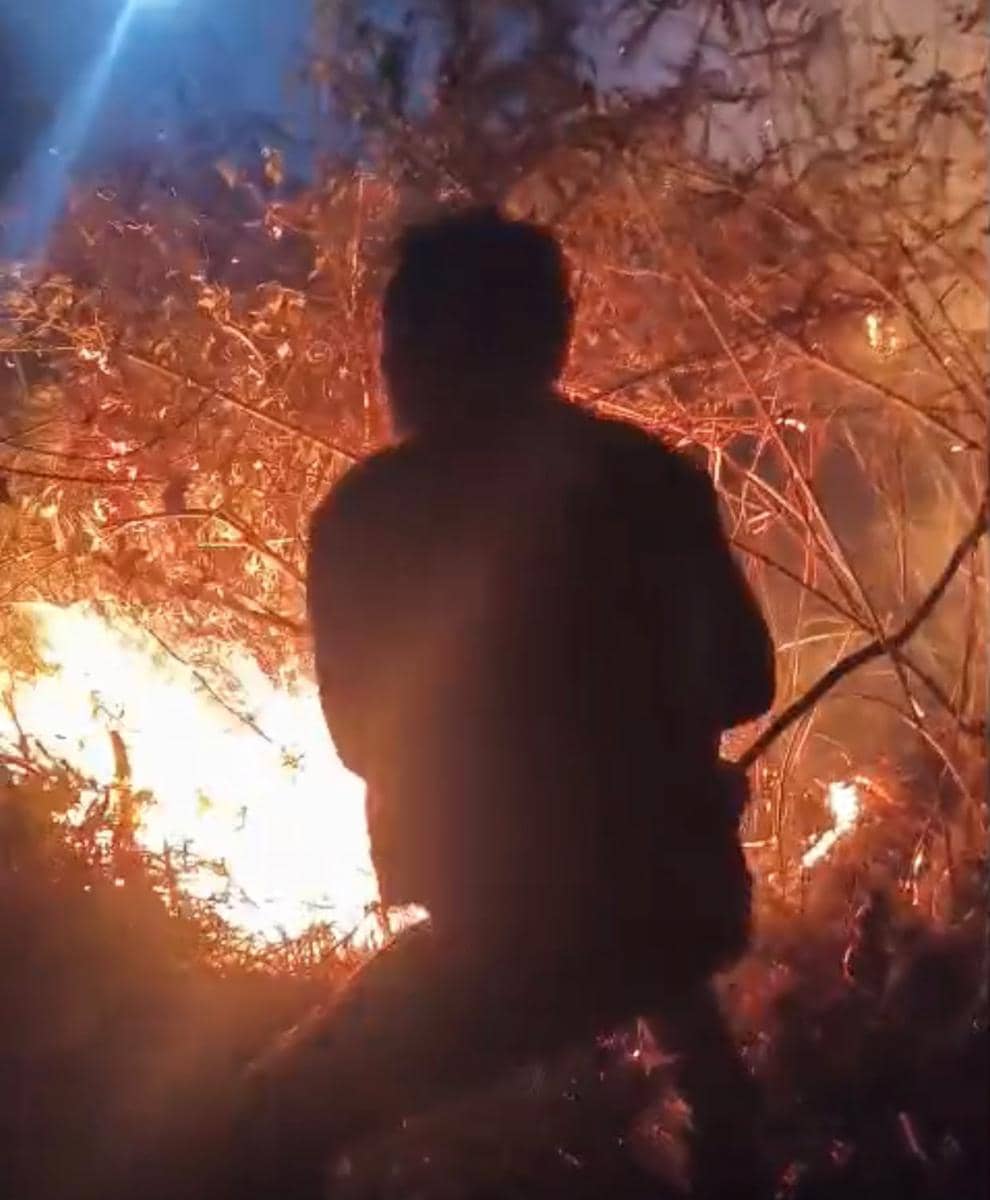 Kawasan TN Gunung Rinjani Menyala, 30 Hektare Hutan Terbakar