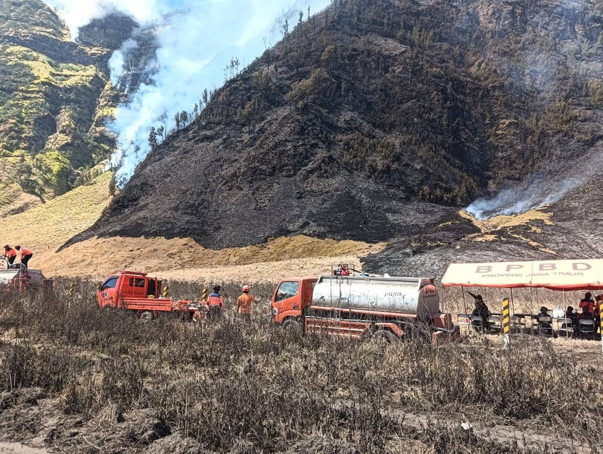 Api Terus Hanguskan Gunung Bromo, Kini Capai 742 Hektare