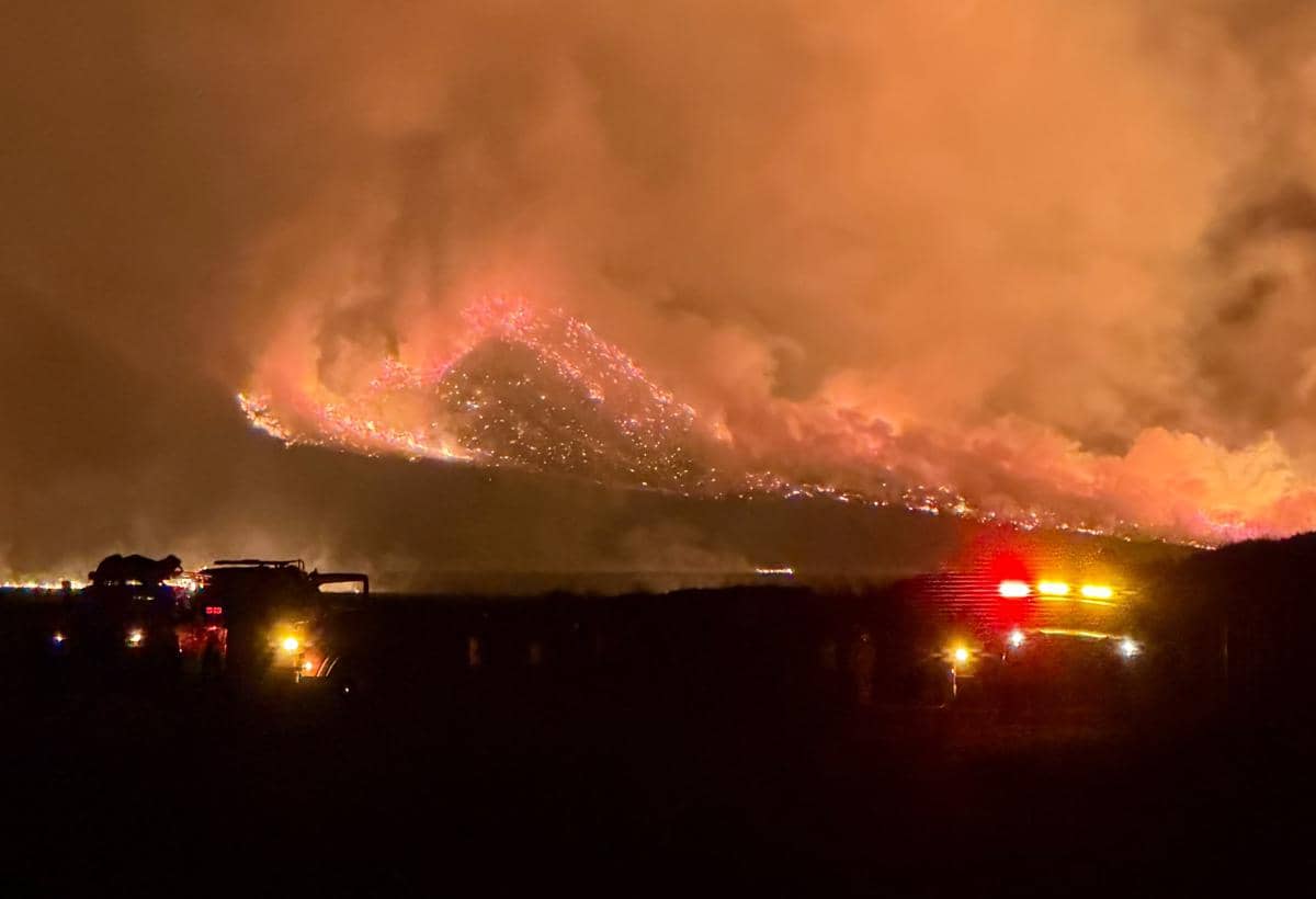 Karhutla Bagai Badai Api, Gunung Bromo Ditutup Total
