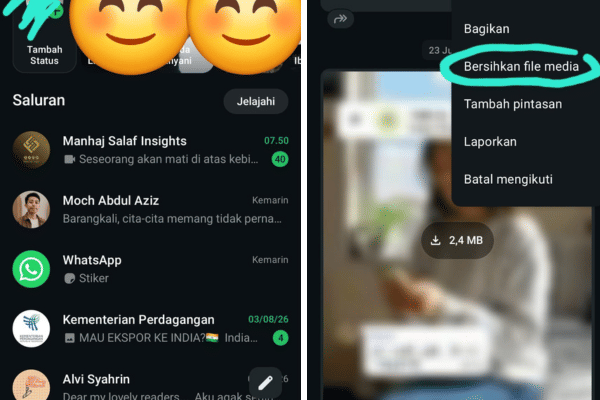 fitur bersihkan file media pada saluran WhatsApp