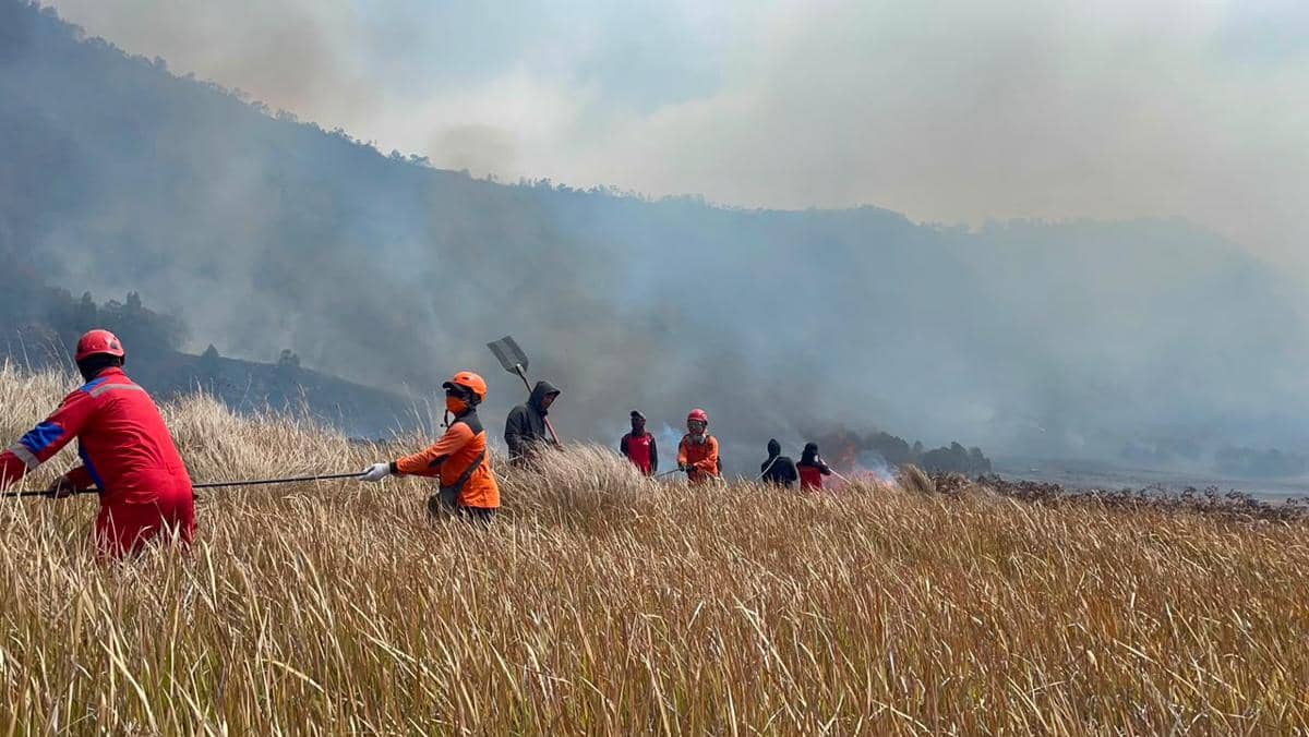 Tim gabungan melakukan pemadaman darat menggunakan gepyok dan sprayer di kawasan Gunung Bromo, Kecamatan Sukapura, Kabupaten Probolinggo, Ja