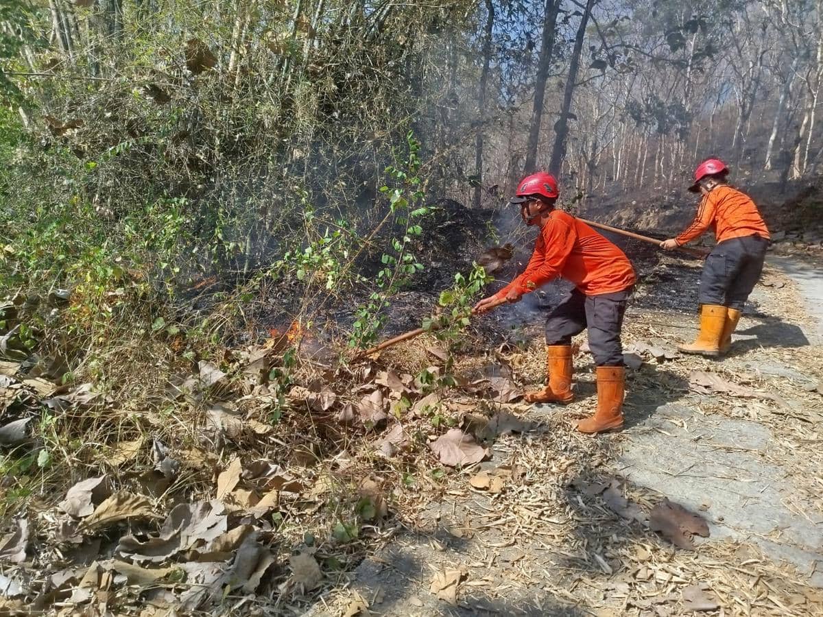Ponorogo dan Trenggalek Dilanda Karhutla, 11,5 Hektare Terbakar