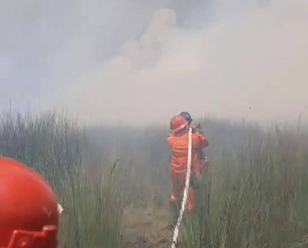 Tim Manggala Agni Daops Sum-XVII/OKI saat berjibaku melakukan pemadaman.