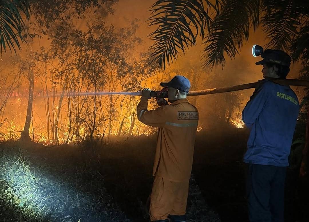 241 Hotspot di Sumsel Tertinggi Tahun Ini, Udara 3 Daerah Tidak Sehat