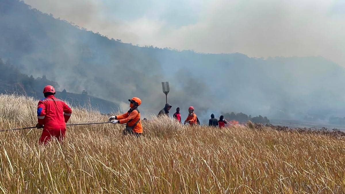 Menhut Dorong Penyelidikan Penyebab Karhutla di Gunung Bromo