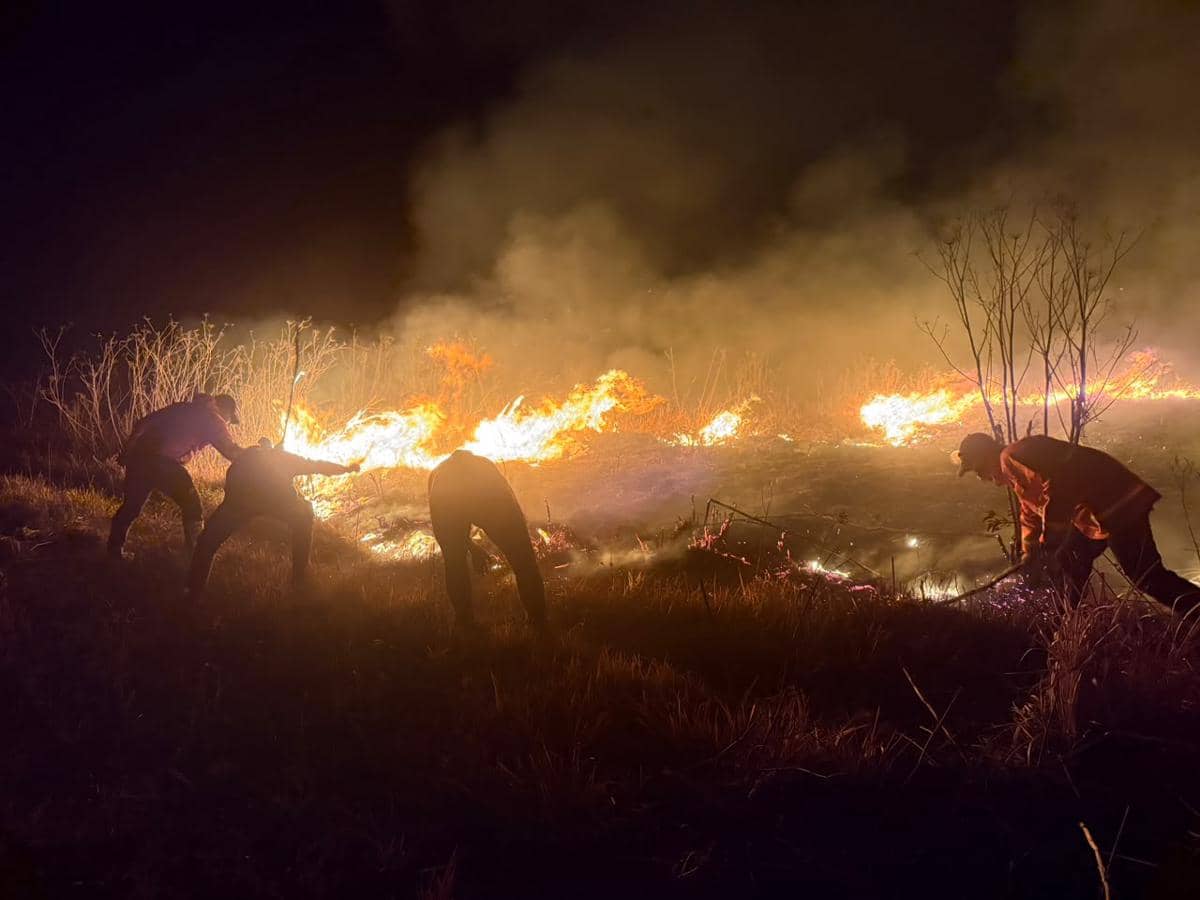 5 Fakta Kebakaran Kawasan Hutan Gunung Bromo yang Melanda Sepekan Ini