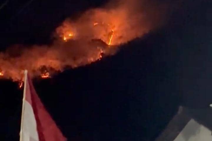 Diduga Sengaja, Hutan Jati di Gunung Bungkuk Magetan Terbakar
