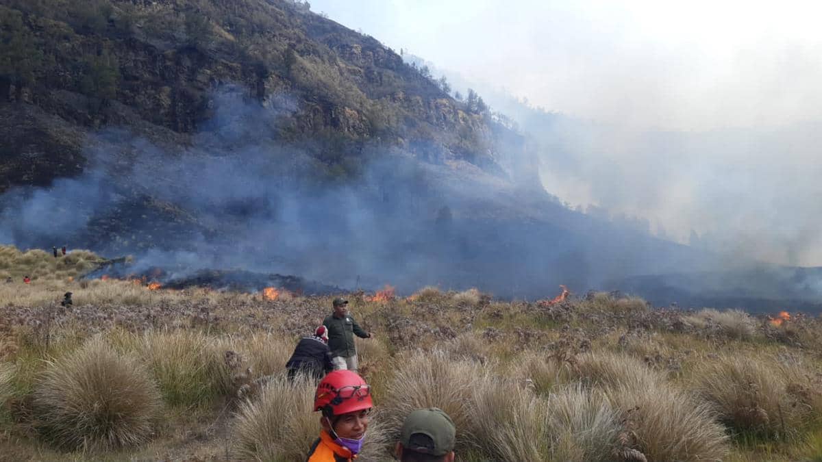 Karhutla di Banyumas, Bromo hingga Rinjani, 219 Hektare Ludes Terbakar