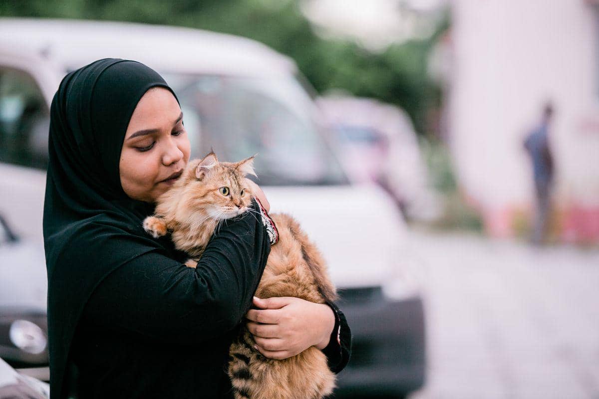 Seekor kucing menjadi ilustrasi pencinta kucing yang lebih menghargai batasan dalam foto karya Asad Photo Maldives.