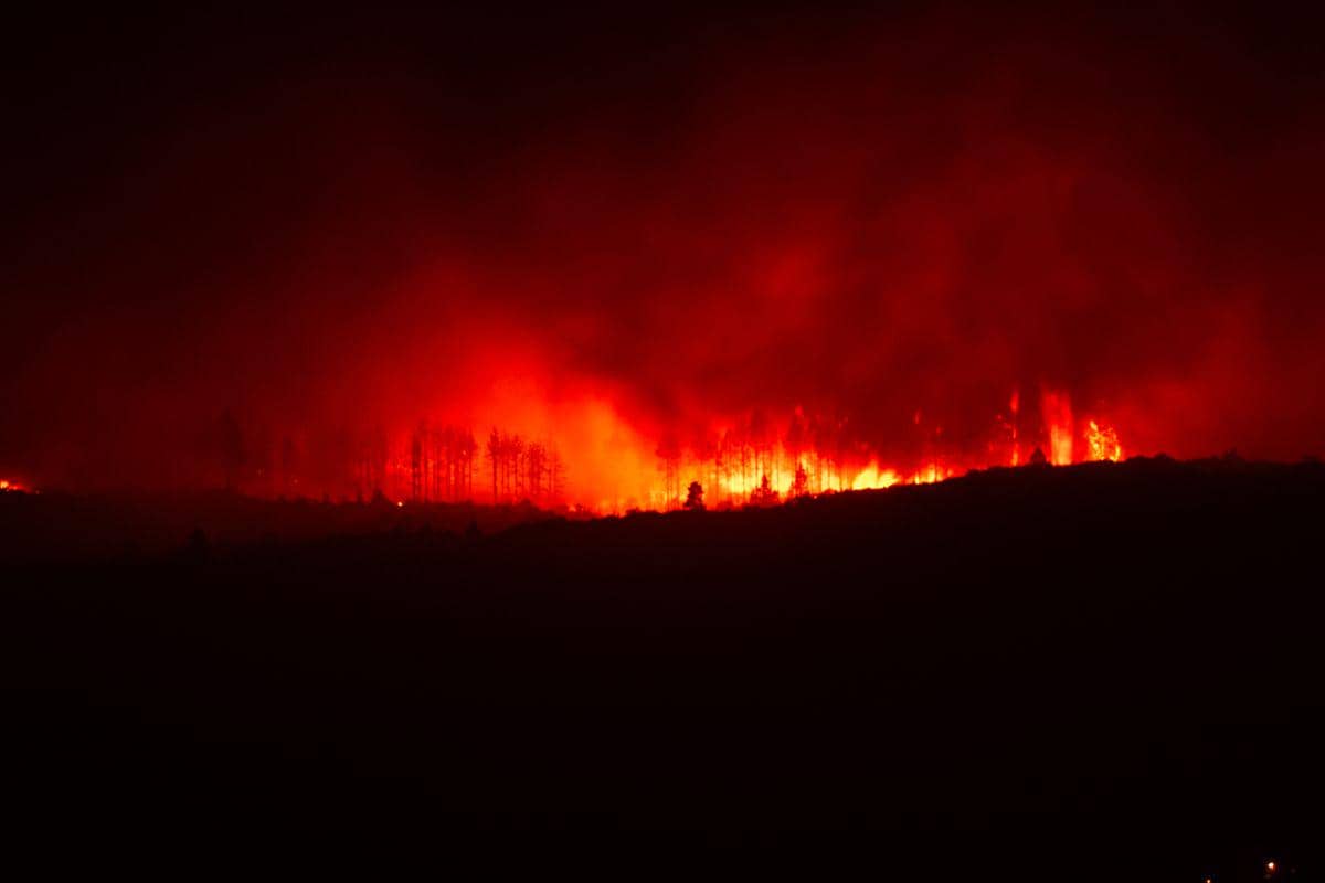 Jabar Catat 79 Kebakaran Hutan dan Lahan, 87 Hektare Terdampak