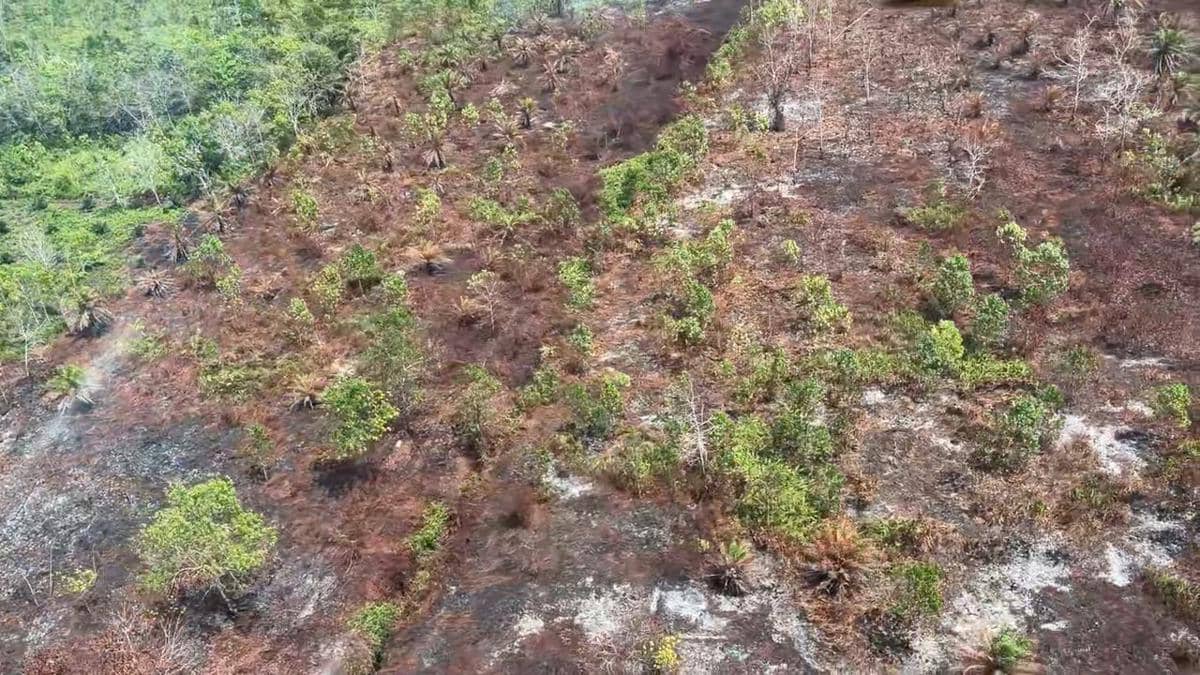 Proses pemadaman lahan (karhutla) terbakar oleh tim gabungan di Desa Limbung, Kecamatan Sungai Raya, Kabupaten Kubu Raya, Kalimantan Barat,