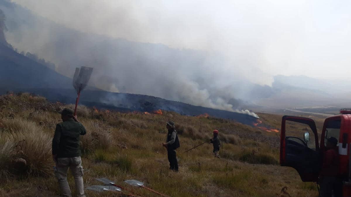 Tim gabungan melakukan pemadaman darat menggunakan gepyok dan sprayer di kawasan Gunung Bromo, Kecamatan Sukapura, Kabupaten Probolinggo, Ja