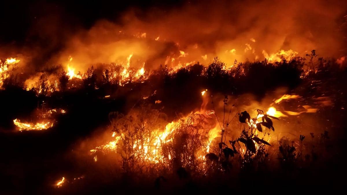 Karhutla Bromo Belum Padam, 176 Hektare Ludes Terbakar