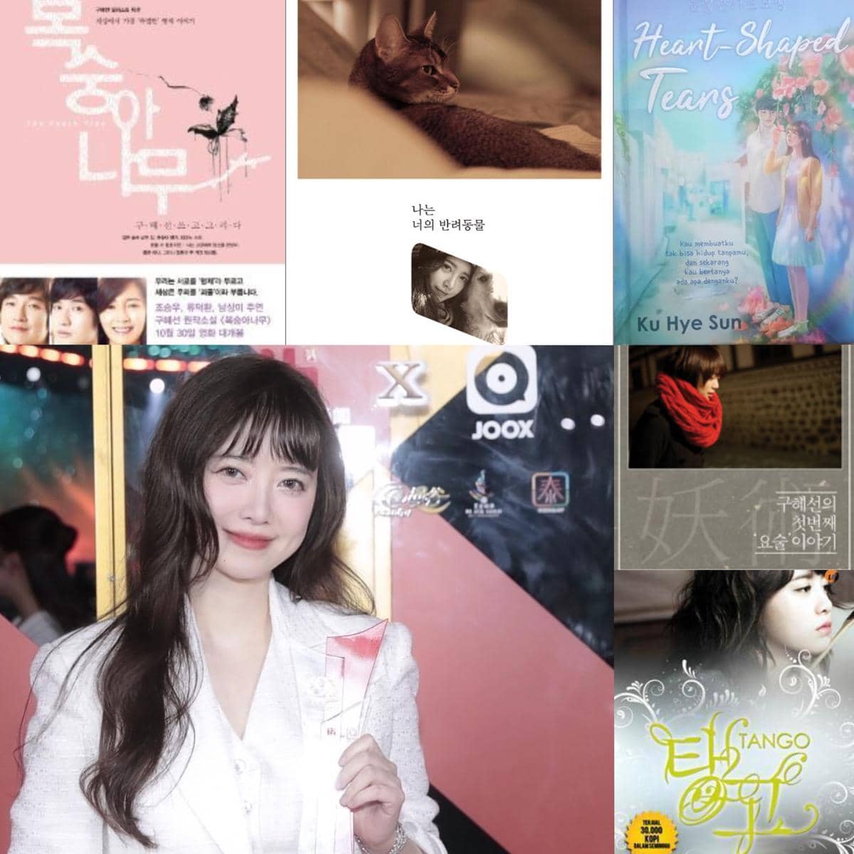 Goo Hye Sun dan buku-buku karyanya