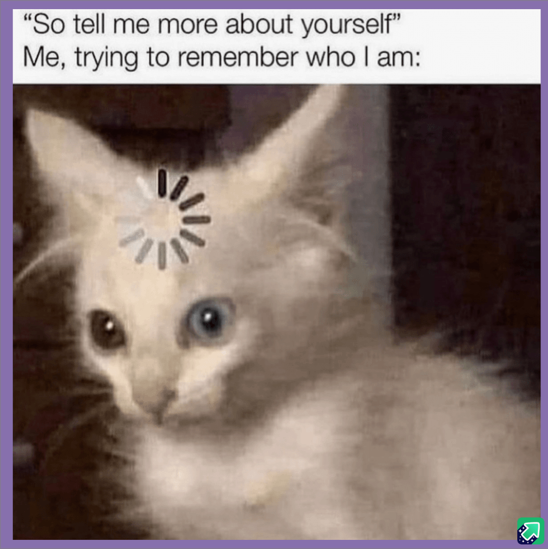 meme kucing tentang pelupa